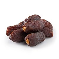 Fabriekslevering Biologische Bulk Zwarte Dadels Gedroogd Fruit Premium Kwaliteit Nieuwe Oogst Vacuüm Verpakt 25kg GMO Lage Prijs Geen Chemicaliën