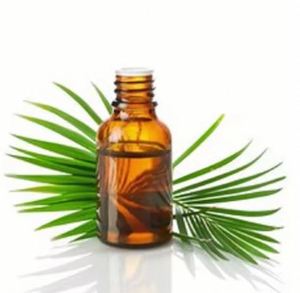 Huile de palmier nain de haute puissance, pure et biologique, pour ingrédient de shampooing, prix de gros par fournisseur indien, huile de palmier nain - Product Image 3