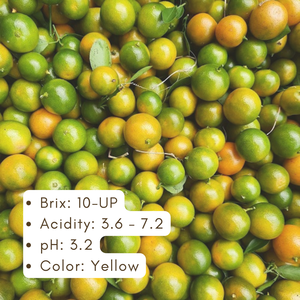 Purée de calamansi/kumquat/calamodong sans sucre de Kim Minh International Emballage en vrac Jus de fruits et de légumes du Vietnam - Product Image 3