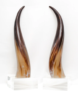 Support artisanal en corne de buffle, design moderne, écologique, corne noire, dernier article décoratif pour salon intérieur, maison royale - Product Image 1