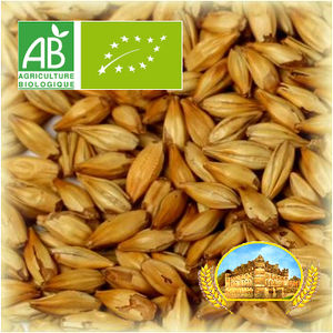 Malt Château Acide 6-12EBC BIO - Product Image 1