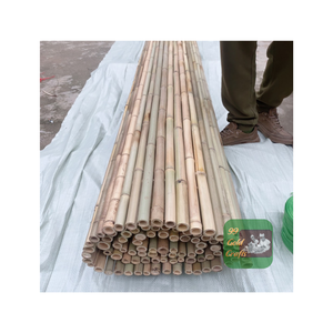 GRAND POTEAU EN BAMBOU NATUREL D'APPROVISIONNEMENT DE DONNÉES EN OR 99 POUR LA DÉCORATION DE LA CONSTRUCTION AVEC LE PRIX LE MOINS CHER - Product Image 2