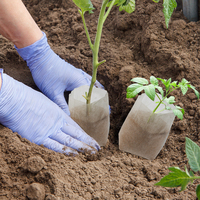 Sacs de Culture Biodégradables pour Pépinière, Pots de Plantation pour Semis en Tissu Non Tissé