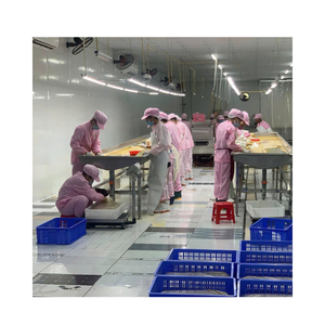 Pulpe de fruit de la passion congelée/graines/sans pépins, morceaux et cubes IQF, qualité supérieure pour la production de jus HAUTE BRIX. - Product Image 3