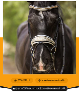 Cardán de cadera para el hogar, remaches de cadera no perennes de temporada - Product Image 4