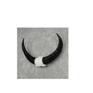 Decoración de Pared Náutica Elegante con Cuerno de Búfalo Natural Montado, Artesanía Natural Pulida, Cuerno de Búfalo Montado en la Pared - Product Image 5