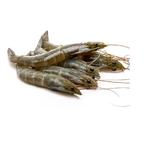 Camarones Vannamei Blancos Congelados de Alta Calidad, Criados en Granja para Procesamiento Industrial de Alimentos e Importadores de Mariscos - Product Image 3