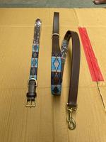 Collier de chien polo en cuir personnalisé avec combinaison de laisse multicolore