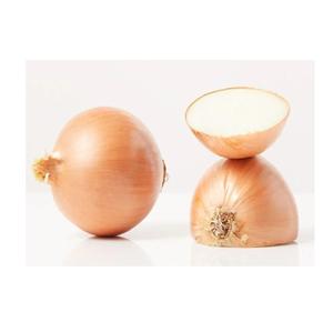 High-Quality <b>Fresh</b> <b>Onions</b> Available in Bulk with Fast Delivery to Meet Your Business Supply Needs - Product Image 4