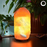 Lampe de sel rose de l'Himalaya au design le plus récent, sculptée style amour, logo personnalisé, durable, forme naturelle, objet d'art de collection pour la maison et les mariages