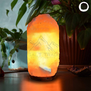Lámpara de sal rosa del Himalaya de último diseño Lámpara de sal del Himalaya con diseño de logotipo personalizado a la venta - Product Image 2