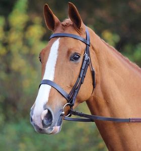 Brida ecuestre de cuero personalizable, brida lisa de estilo occidental para caballos de carreras, logotipo personalizado - Product Image 4