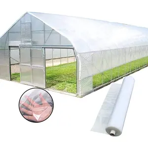 Film UV agricole à 2 couches, couverture de toit pour serre verte, meilleure vente 200 m, disponibles dans les grandes et petites entreprises et à bas prix