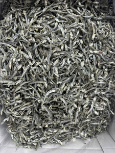 ปลาแอนโชวี่แห้งจากโรงงานโดยตรง สั่งซื้อจำนวนมาก ราคาขายส่ง เวียดนาม - Product Image 6