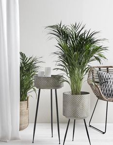 Maceta Metálica con Soporte que Brinda un Toque de Lujo para la Decoración Moderna del Hogar, Jardines Interiores y Habitaciones - Product Image 1