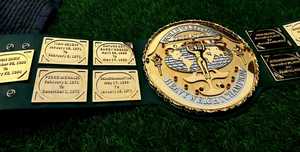 Cinturones de campeonato de lucha libre Trofeos Medallas y premios el símbolo definitivo de Victoria y excelencia Cinturones de Campeonato - Product Image 3