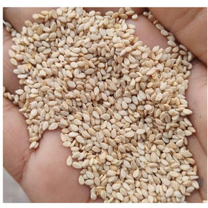 Exportateur indien de graines de sésame blanc auto-séchées, décortiquées, 100% pures, biologiques, qualité supérieure, Sortex 99,90% - Product Image 1