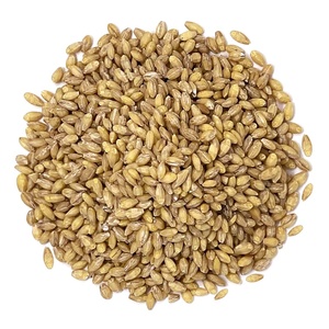 Hạt lúa mạch tươi hữu cơ chất lượng cao của Nga, lúa mạch ngọc trai, mạch nha dùng làm thức ăn chăn nuôi, khô, giá bán buôn. - Product Image 4