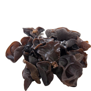 TOP VENTAS HONGO NEGRO SECO SUMINISTRO AL POR MAYOR CALIDAD PREMIUM MADERA NATURAL EAR SETA PRODUCTO DE EXPORTACIÓN OFERTA CALIENTE PROMOCIÓN - Product Image 4