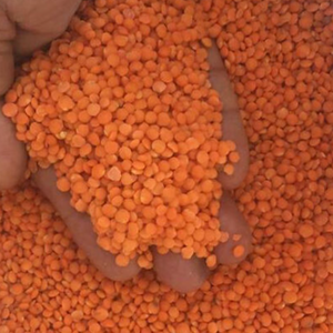 ถั่วแดงไร้เปลือกจำนวนมากผู้จำหน่ายที่ได้รับการรับรอง HACCP & ISO - Product Image 3