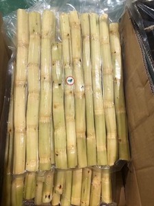 Bâtonnets de canne à sucre surgelés IQF en vrac, qualité supérieure pour la production de boissons et la transformation alimentaire par VIET D.E.L.T.A - Product Image 3