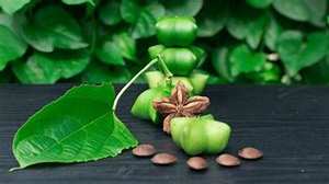 PURE SACHA INCHI SUPERALIMENTS GRAINES RICHES EN OMEGA TROIS SIX NINE POUR LE SOUTIEN DU SYSTÈME IMMUNITAIRE ET LA SANTÉ CARDIAQUE - Product Image 4