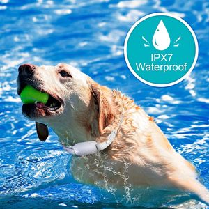 Collar de Adiestramiento Eléctrico Recargable e Impermeable Bousnic para Perros Pequeños, Medianos y Grandes con Niveles de Choque Personalizables y Control Remoto - Product Image 3
