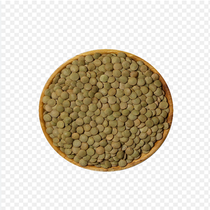 En Stock, lentejas verdes de alta calidad, grano crudo natural, comida saludable, semillas de lentejas verdes para consumo, comprar al mejor precio - Product Image 5