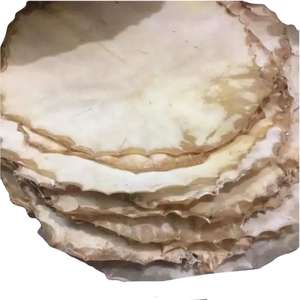 น่าจะเป็นหนังแพะธรรมชาติที่มีขน เหมาะสำหรับกลองเจมเบ้หรือกลองมืออื่นๆ - Product Image 4