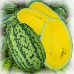 Meilleure vente Pastèque cœur jaune biologique sans pépins et naturelle au prix de gros Délicieuse pastèque fraîchement cultivée - Product Image 3