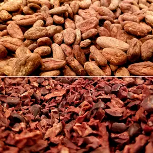 Fave di cacao fermentate per la vendita