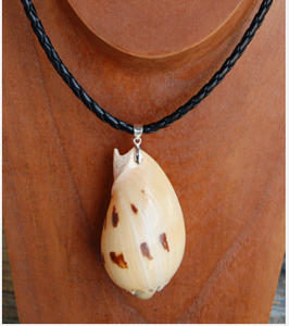 SEASHELL JEWELRY Natural <b>Shell</b> Necklace <b>Bead</b> and Animal Style for Religious Gifts - Product Image 3