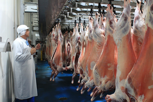 Carne de Oveja Congelada con Certificación HALAL para Exportación, Cortes de Cordero sin Hueso, Sacrificada, Procesada y Envasada Higiénicamente - Product Image 3