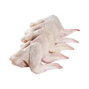 Ailes d'articulation de poulet halal congelées du Brésil