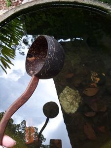 Cuchara de cáscara de coco tradicional-Apelación orgánica, hecha a mano de residuos VIET FARGIMEX - Product Image 6