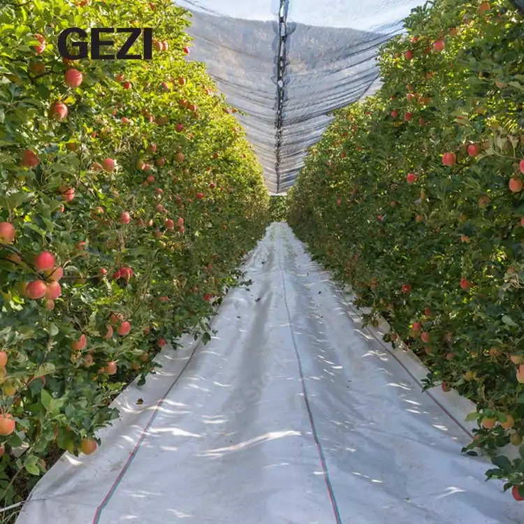 Tapete de controle de ervas daninhas para jardim de fazenda de maçã, cor verde preta, plástico pp, não tecido biodegradável 5% uv, fornecedor de rolos de 0,5 3,6 4 5 6 7m