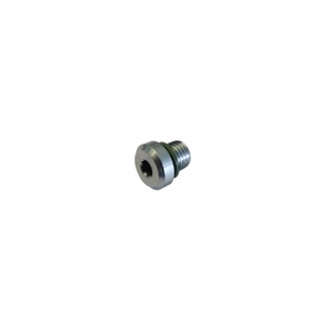 Vite di chiusura M8x1 con guarnizione in Viton - Product Image 1