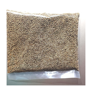 100% graines de périlla à base de plantes naturelles pures approvisionnement en vrac meilleure qualité disponible dans des styles frais et séchés à un prix bon marché - Product Image 3