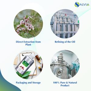 Aceite de Manuka 100% puro y natural al por mayor a granel precio más bajo embalaje personalizado - Product Image 4