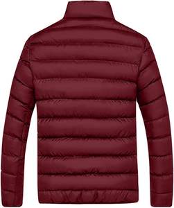 2025 luxe hommes Streetwear fermeture éclair imperméable doudoune couleur unie hiver vêtements de plein air avec col montant - Product Image 2