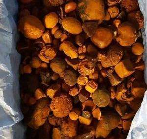 Cálculos Biliares de Buey |   Cálculos Biliares de Ganado |   Cálculos Biliares de Buey - Compre Cálculos Biliares de Buey al por Mayor para Exportación - Product Image 4