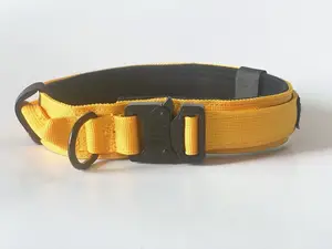 Collares retráctiles personalizados Para Perros, Collares de entrenamiento impermeables Para Perros, bajo pedido de fábrica