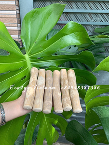 Juguete para perros masticable de madera de café orgánico Stick sin ingredientes artificiales seguridad para perros hecho a mano 100% de Eco2go Vietnam - Product Image 4