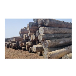 Bûches de bois de meranti écologiques de qualité supérieure - 1000 tonnes disponibles au meilleur prix en ligne - Product Image 1