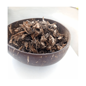 Polvo de hierba de gelatina negra vietnamita para gelatina dulce a buen precio para exportación Venta caliente natural Palo de hoja de hierba de gelatina negra seca - Product Image 3