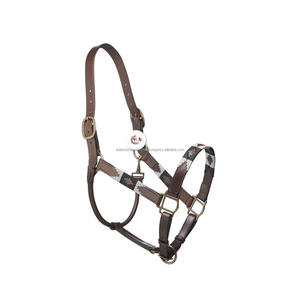 Caballo de cuero Premium de alta calidad, cuello Halter - Product Image 3