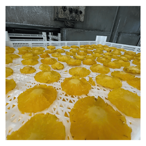 Soft Dried Pineapple refined pineapple fruit slices designed for ingredient blending and food production Vietnam - Product Image 3