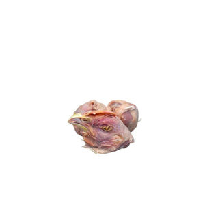 Cabezas de pollo congeladas Exportadores Empaquetado a granel disponible - Product Image 2