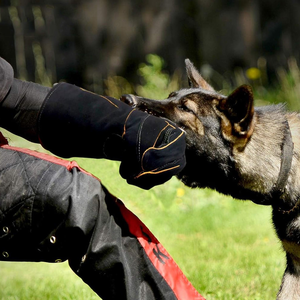 Gants de manipulation des animaux pour usage vétérinaire, gants de sécurité pour animaux à bras long pour la protection, manipulateur d'animaux professionnel - Product Image 4