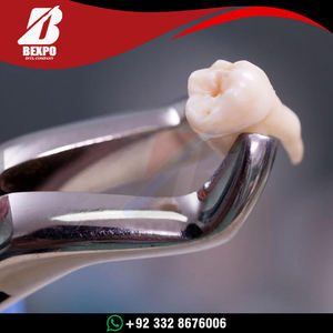 Forceps d'extraction dentaire en acier inoxydable pour adultes, lot de 10 pièces, haute qualité, certifié CE, classe I, pour dentistes - Product Image 4